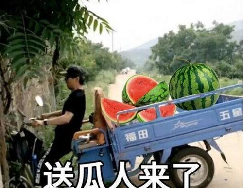 详细阅读:最近大瓜事件,揭秘明星隐私风波背后的真相 最近大瓜事件,揭秘明星隐私风波背后的真相